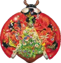 Ladybug