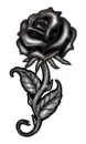 Black Rose