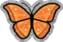 butterfly 1