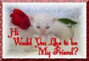 hi,would you like to be my friend?