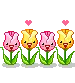 tulips