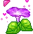 purple flower