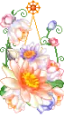 cute flowers
