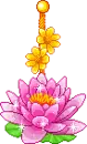 water lilly