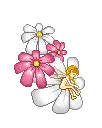 little pixi