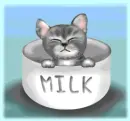 Kitty Milk