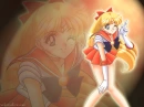sailor venus wall