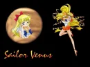sailor venus wall
