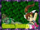 sailor jupiter wall