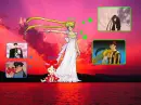 sailor moon loved
