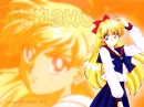 sailor venus wall