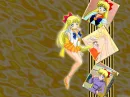 sailor venus wall