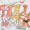 HoLlIsTeR!!!!
