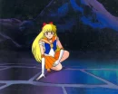 sailor venus 