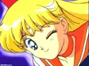 sailor venus wall