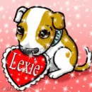 lexie puppy