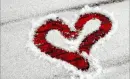 Winter Love