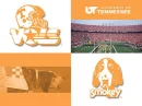 tennessee