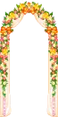flower curve