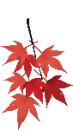 fall