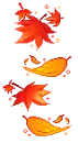 fall
