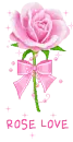 rose love