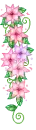 pink flowers