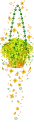 yellow flowers