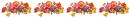 pansy line
