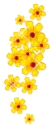 yellow flowes