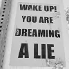Dreaming a Lie