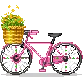 Pink Bicycle