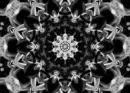 grey star