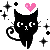 lovely cat