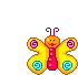 pretty butterfly