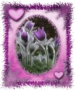 purple flowers