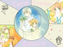 Sakura & Yukito