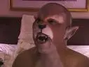 catman