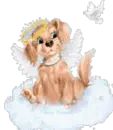 Cute dog angel