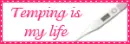 temping is my life