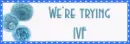 we're trying IVF