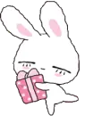 sleepy rabbit