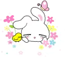sleepy rabbit