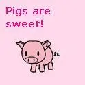 pigs are sweet!