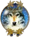 Black wolf