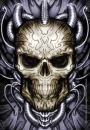Skull