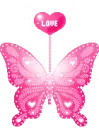 pink butterfly