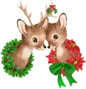 baby deers