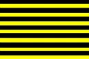 yellow and black stripes