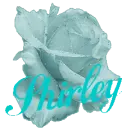 Shirley